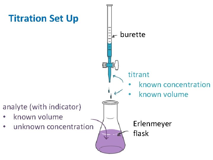 Titration Set Up burette titrant • known concentration • known volume analyte (with indicator)