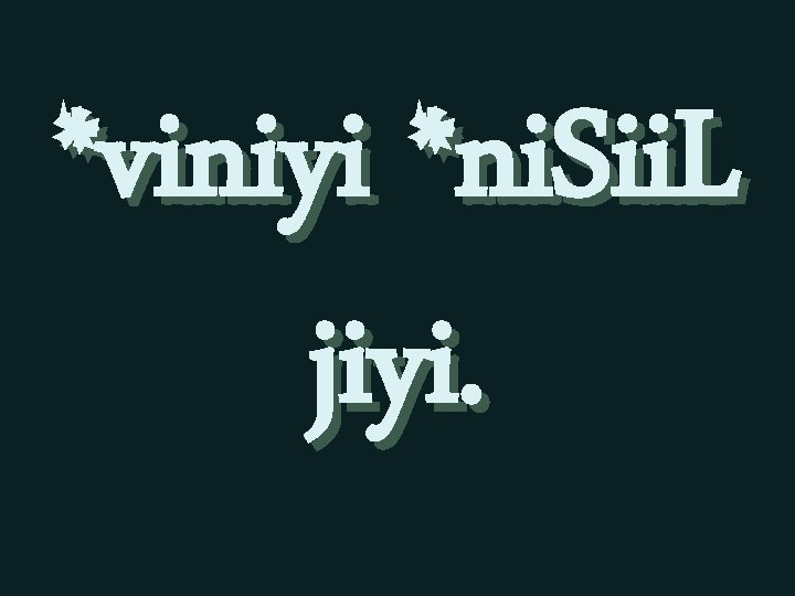 *viniyi *ni. Sii. L jiyi. 