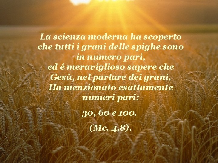 La scienza moderna ha scoperto che tutti i grani delle spighe sono in numero