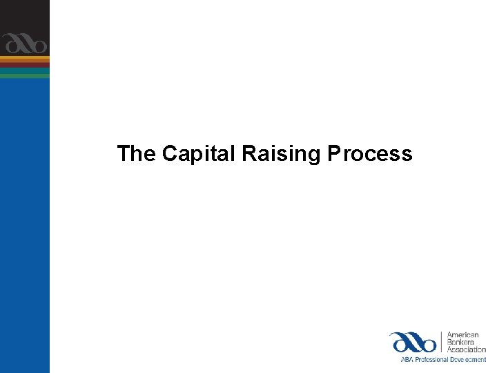 The Capital Raising Process 