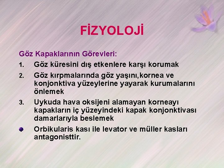 FİZYOLOJİ Göz Kapaklarının Görevleri: 1. Göz küresini dış etkenlere karşı korumak 2. Göz kırpmalarında