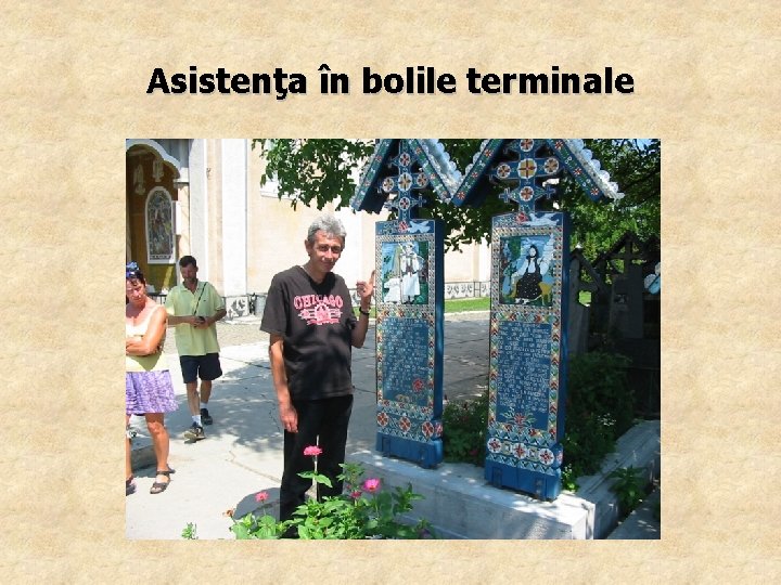 Asistenţa în bolile terminale 
