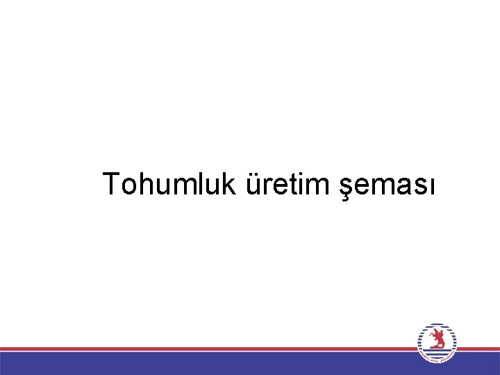 Tohumluk üretim şeması 