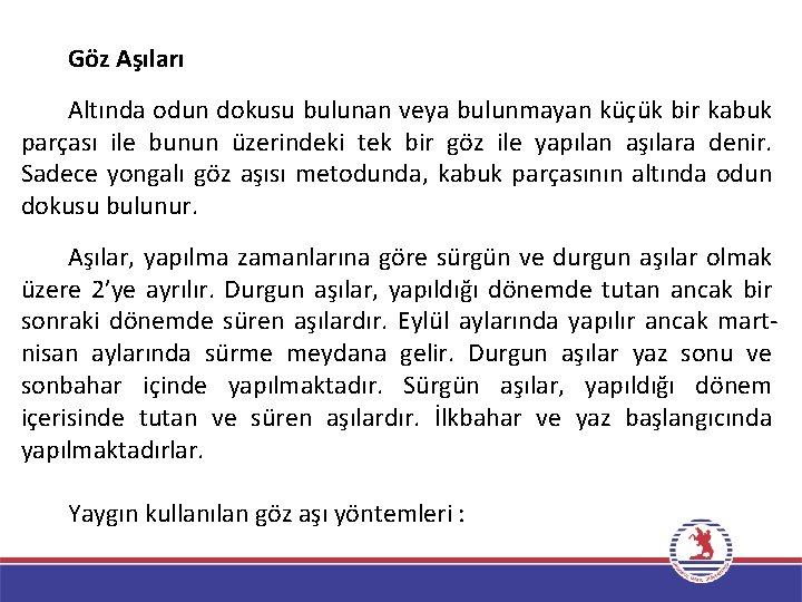 Göz Aşıları Altında odun dokusu bulunan veya bulunmayan küçük bir kabuk parçası ile bunun