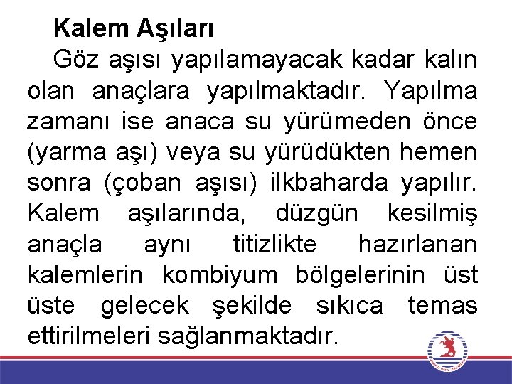 Kalem Aşıları Göz aşısı yapılamayacak kadar kalın olan anaçlara yapılmaktadır. Yapılma zamanı ise anaca