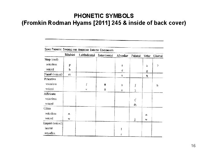 PHONETIC SYMBOLS (Fromkin Rodman Hyams [2011] 245 & inside of back cover) 16 