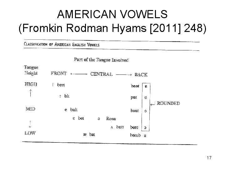 AMERICAN VOWELS (Fromkin Rodman Hyams [2011] 248) 17 