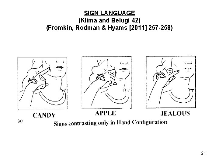 SIGN LANGUAGE (Klima and Belugi 42) (Fromkin, Rodman & Hyams [2011] 257 -258) 21