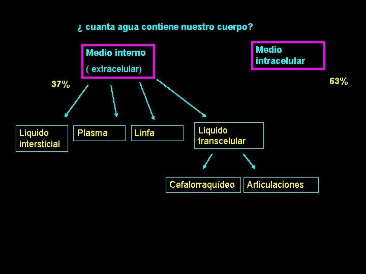 ¿ cuanta agua contiene nuestro cuerpo? Medio intracelular Medio interno ( extracelular) 63% 37%