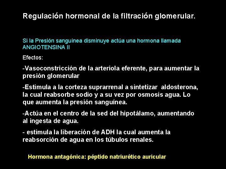 Regulación hormonal de la filtración glomerular. Si la Presión sanguínea disminuye actúa una hormona