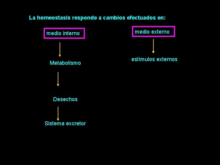 La homeostasis responde a cambios efectuados en: medio interno Metabolismo Desechos Sistema excretor medio