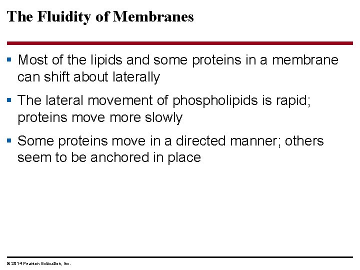 The Fluidity of Membranes § Most of the lipids and some proteins in a