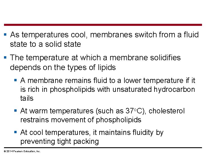§ As temperatures cool, membranes switch from a fluid state to a solid state