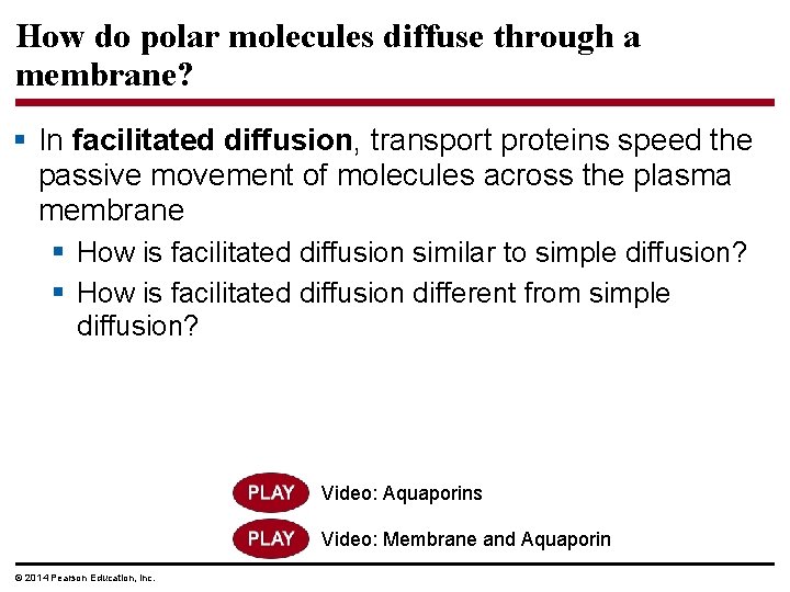 How do polar molecules diffuse through a membrane? § In facilitated diffusion, transport proteins