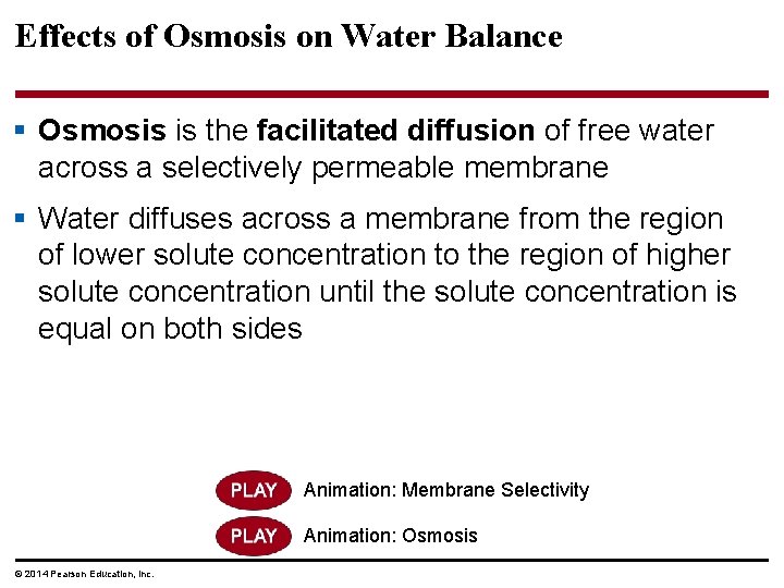 Effects of Osmosis on Water Balance § Osmosis is the facilitated diffusion of free