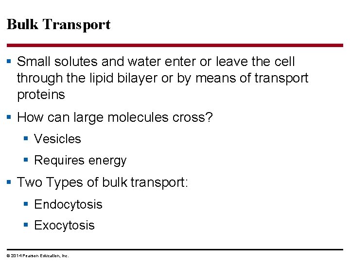 Bulk Transport § Small solutes and water enter or leave the cell through the