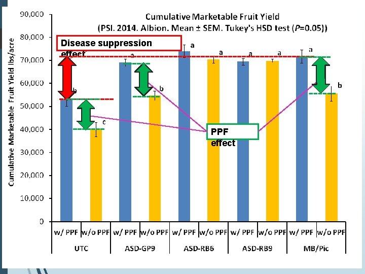 Disease suppression effect PPF effect 