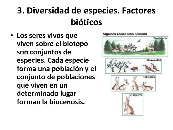 3. Diversidad de especies. Factores bióticos • Los seres vivos que viven sobre el