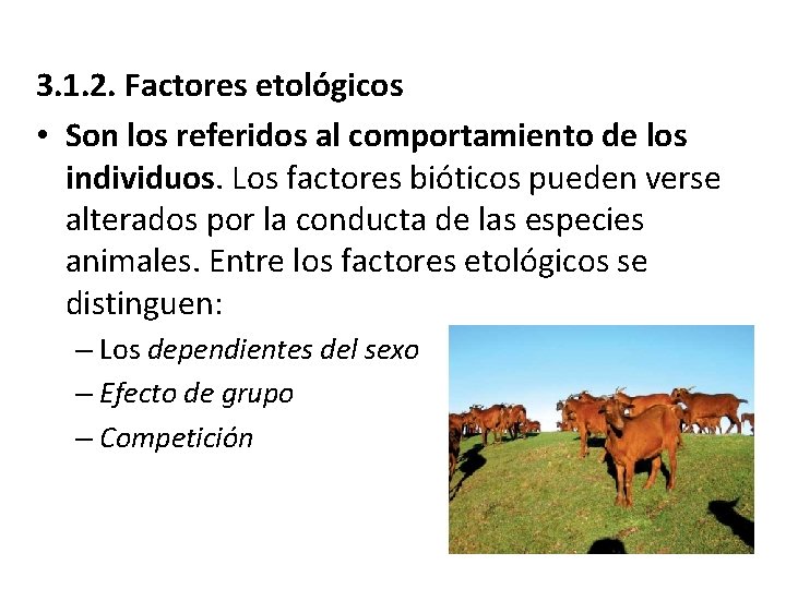 3. 1. 2. Factores etológicos • Son los referidos al comportamiento de los individuos.