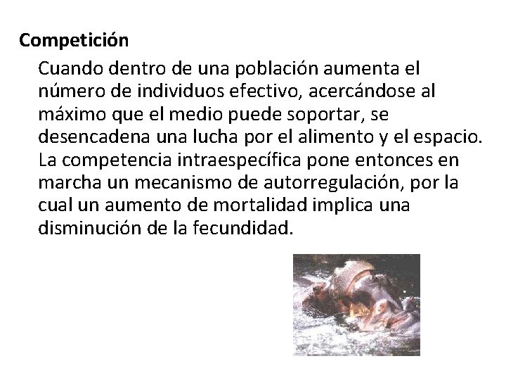 Competición Cuando dentro de una población aumenta el número de individuos efectivo, acercándose al