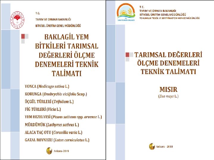 TOHUMLUK TESCİL VE SERTİFİKASYON MERKEZ MÜDÜRLÜĞÜ 