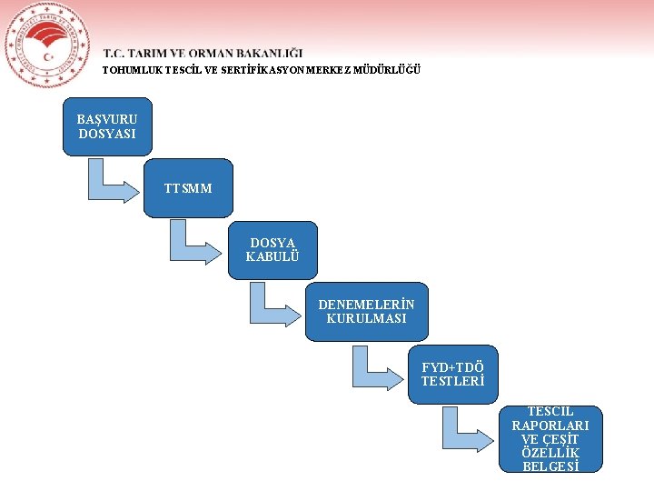 TOHUMLUK TESCİL VE SERTİFİKASYON MERKEZ MÜDÜRLÜĞÜ BAŞVURU DOSYASI TTSMM DOSYA KABULÜ DENEMELERİN KURULMASI FYD+TDÖ