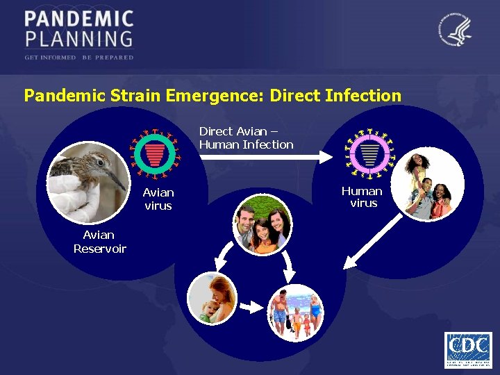 Pandemic Strain Emergence: Direct Infection Direct Avian – Human Infection Avian virus Avian Reservoir