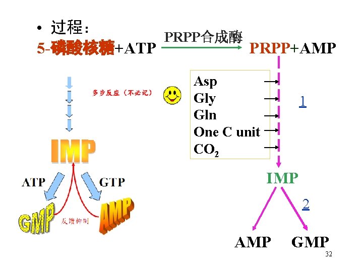  • 过程： PRPP合成酶 5 -磷酸核糖+ATP PRPP+AMP Asp Gly Gln One C unit CO