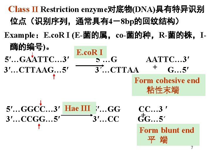 Class II Restriction enzyme对底物(DNA)具有特异识别 位点（识别序列，通常具有4－8 bp的回纹结构） Example：E. co. R I (E-菌的属，co-菌的种，R-菌的株，I酶的编号)。 E. co. R