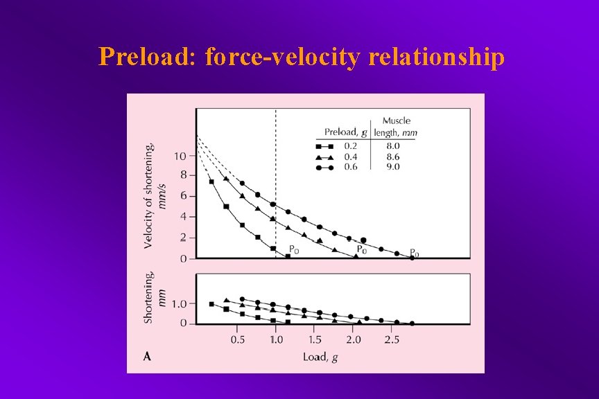 Preload: force-velocity relationship 