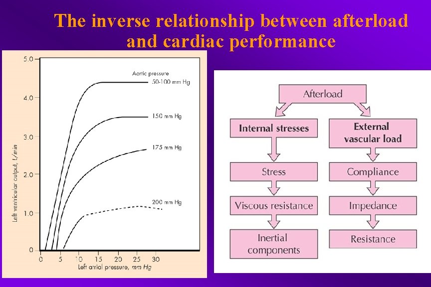 The inverse relationship between afterload and cardiac performance 