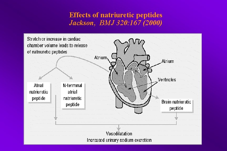 Effects of natriuretic peptides Jackson, BMJ 320: 167 (2000) 