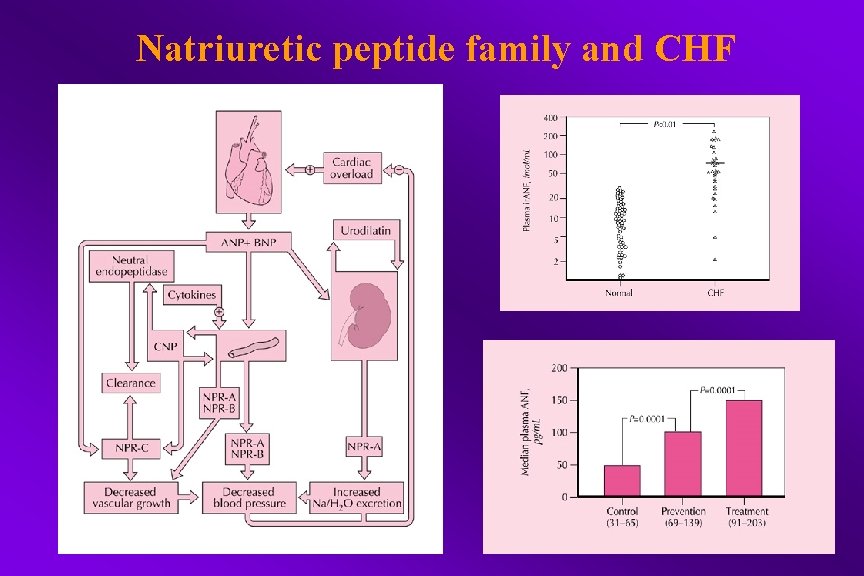 Natriuretic peptide family and CHF 
