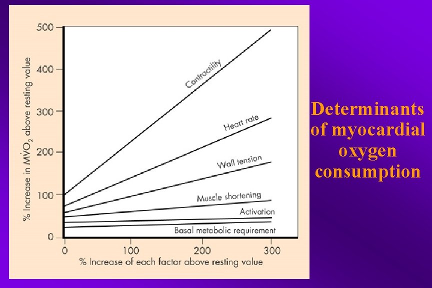 Determinants of myocardial oxygen consumption 