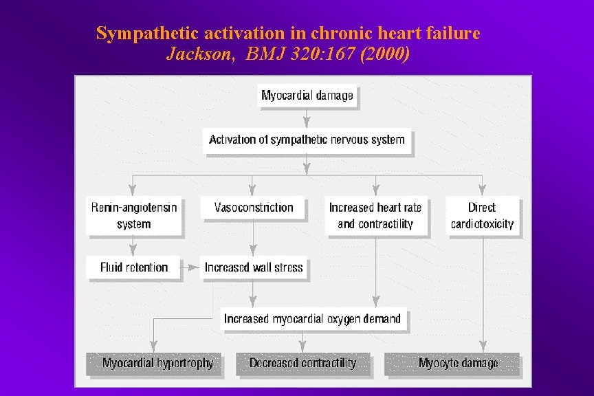 Sympathetic activation in chronic heart failure Jackson, BMJ 320: 167 (2000) 