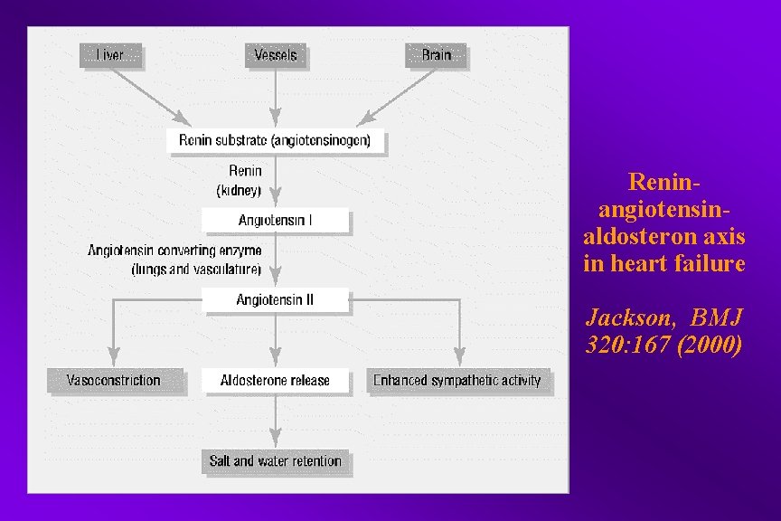 Reninangiotensinaldosteron axis in heart failure Jackson, BMJ 320: 167 (2000) 