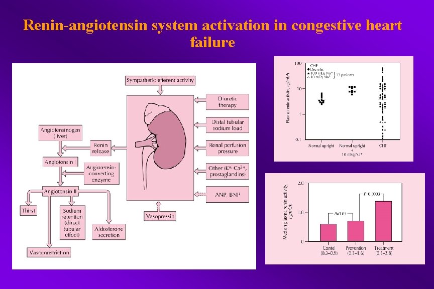 Renin-angiotensin system activation in congestive heart failure 