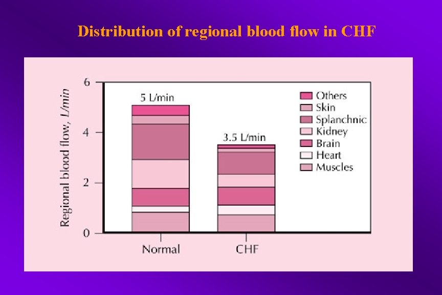 Distribution of regional blood flow in CHF 