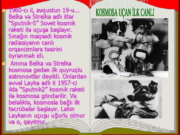 1960 -cı il, avqustun 19 -u. . . Belka və Strelka adlı itlər “Sputnik-5”