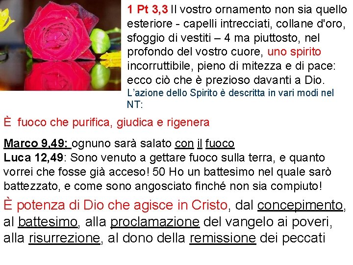 1 Pt 3, 3 Il vostro ornamento non sia quello esteriore - capelli intrecciati,