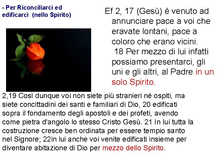 - Per Riconciliarci ed edificarci (nello Spirito) Ef 2, 17 (Gesù) è venuto ad