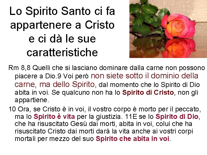 Lo Spirito Santo ci fa appartenere a Cristo e ci dà le sue caratteristiche