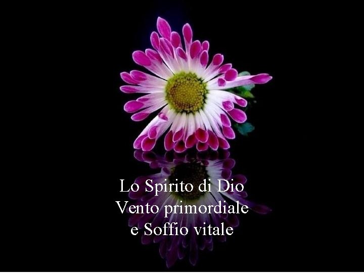Lo Spirito di Dio Vento primordiale e Soffio vitale 