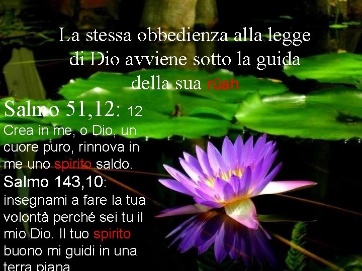 La stessa obbedienza alla legge di Dio avviene sotto la guida della sua rûah