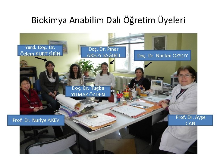 Biokimya Anabilim Dalı Öğretim Üyeleri Yard. Doç. Dr. Özlem KURT ŞİRİN Doç. Dr. Pınar