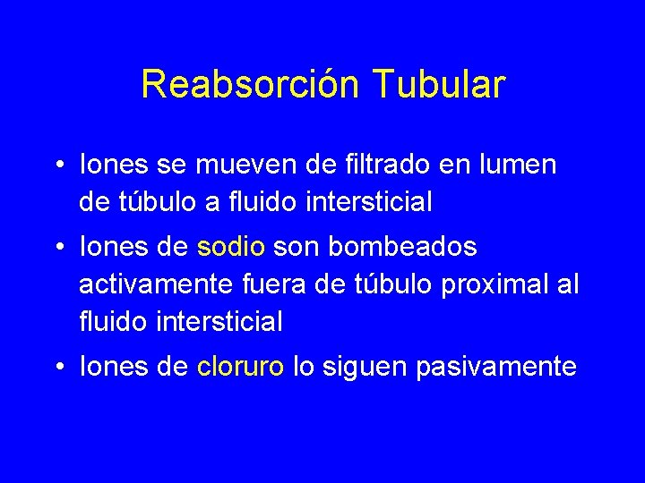 Reabsorción Tubular • Iones se mueven de filtrado en lumen de túbulo a fluido