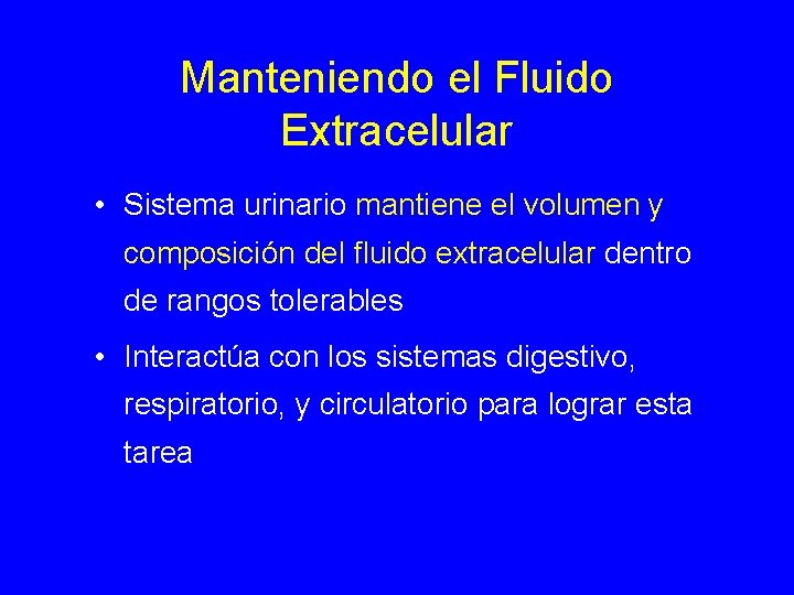 Manteniendo el Fluido Extracelular • Sistema urinario mantiene el volumen y composición del fluido
