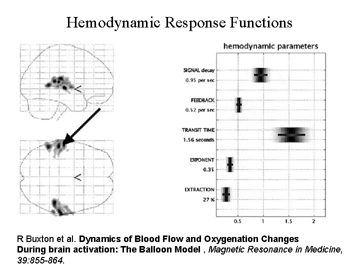 Hemodynamic Response Functions R Buxton et al. Dynamics of Blood Flow and Oxygenation Changes