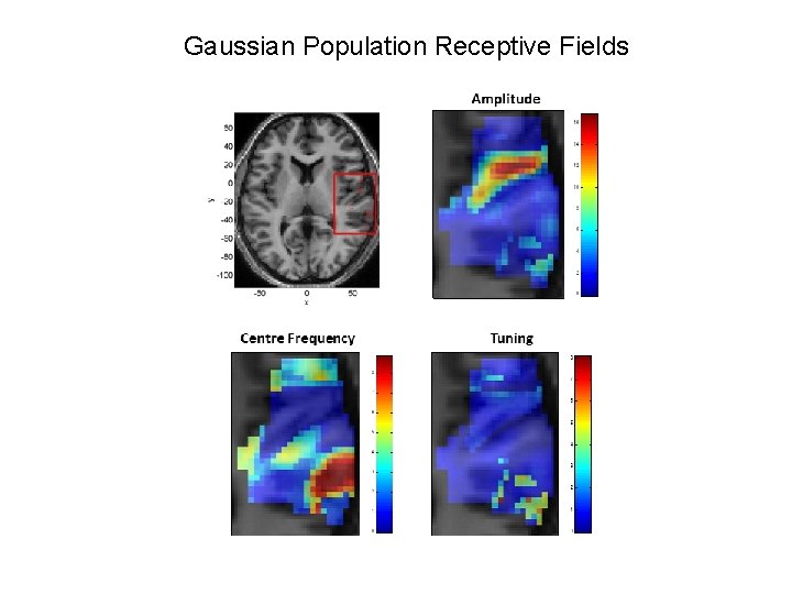 Gaussian Population Receptive Fields 