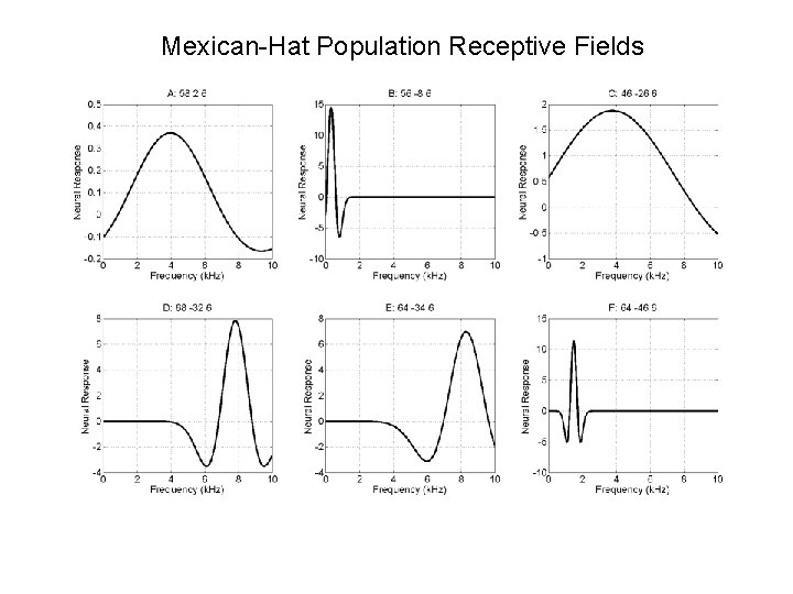 Mexican-Hat Population Receptive Fields 